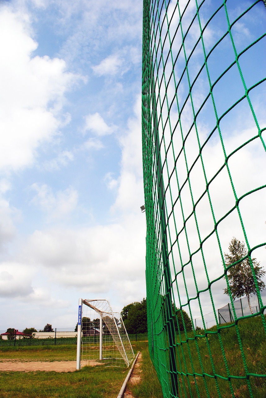 功无疑告诉 功无疑告诉