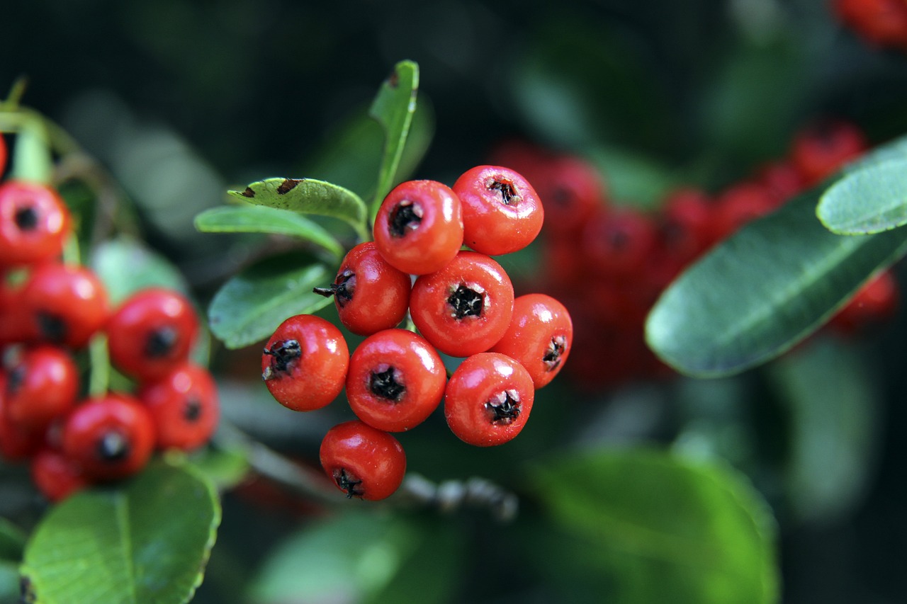 辉煌的机会 辉煌的机会